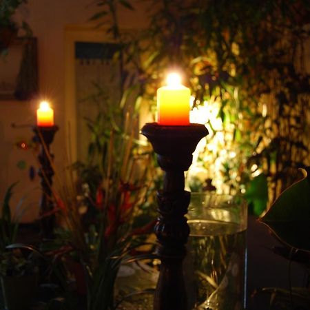 הוילה Güimar Casa Tesalia מראה חיצוני תמונה