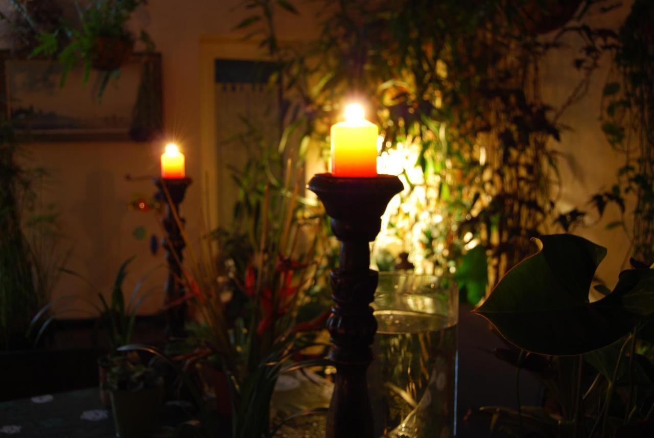 הוילה Güimar Casa Tesalia מראה חיצוני תמונה
