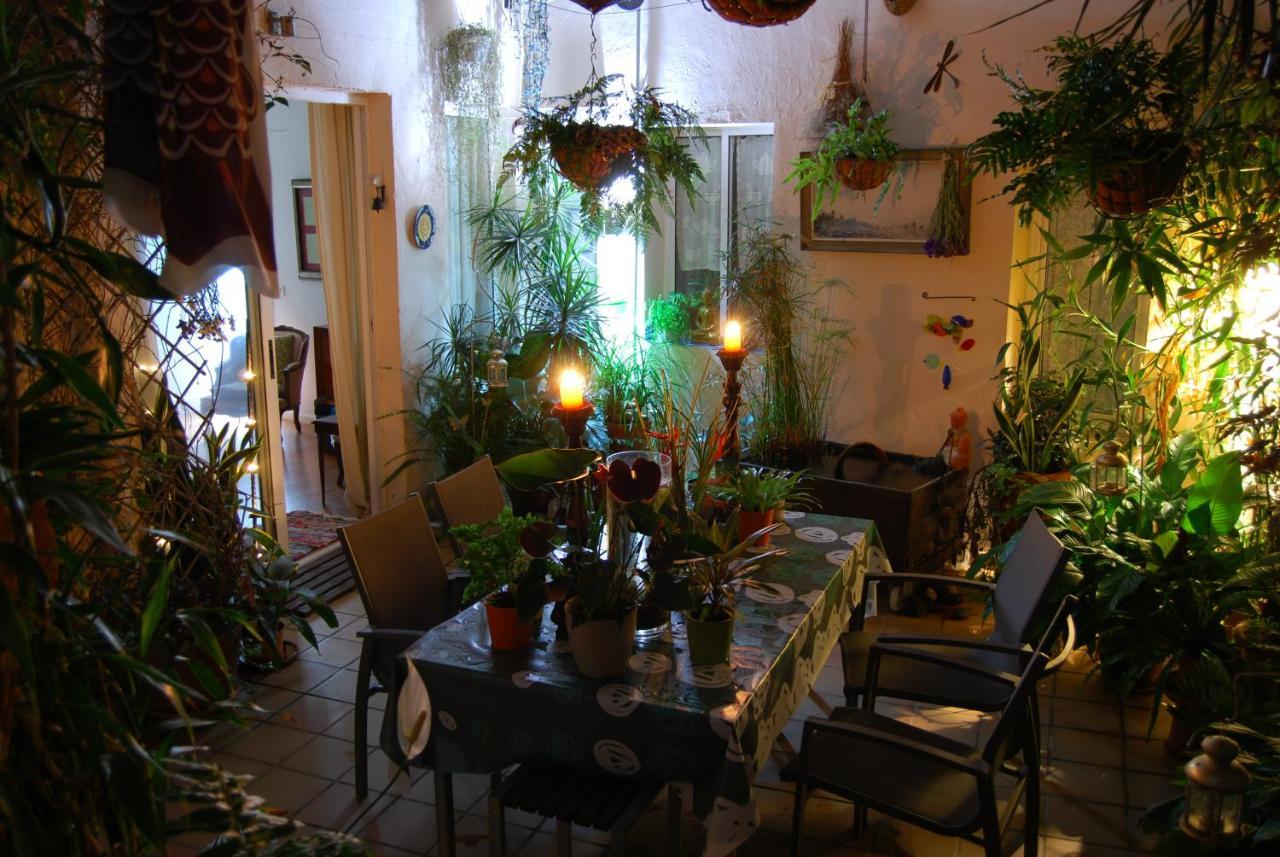 הוילה Güimar Casa Tesalia מראה חיצוני תמונה